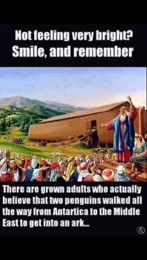 12200945_10207855904666376_1178436723_n